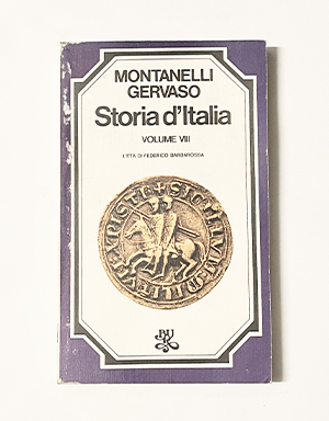 Storia d'Italia vol VIII poster