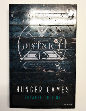 Hunger Games poster