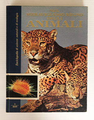 Il meraviglioso regno degli ANIMALI poster