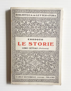 Le storie poster